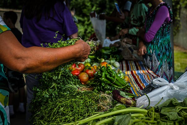 Shoppers gather produce at McCormick Place.