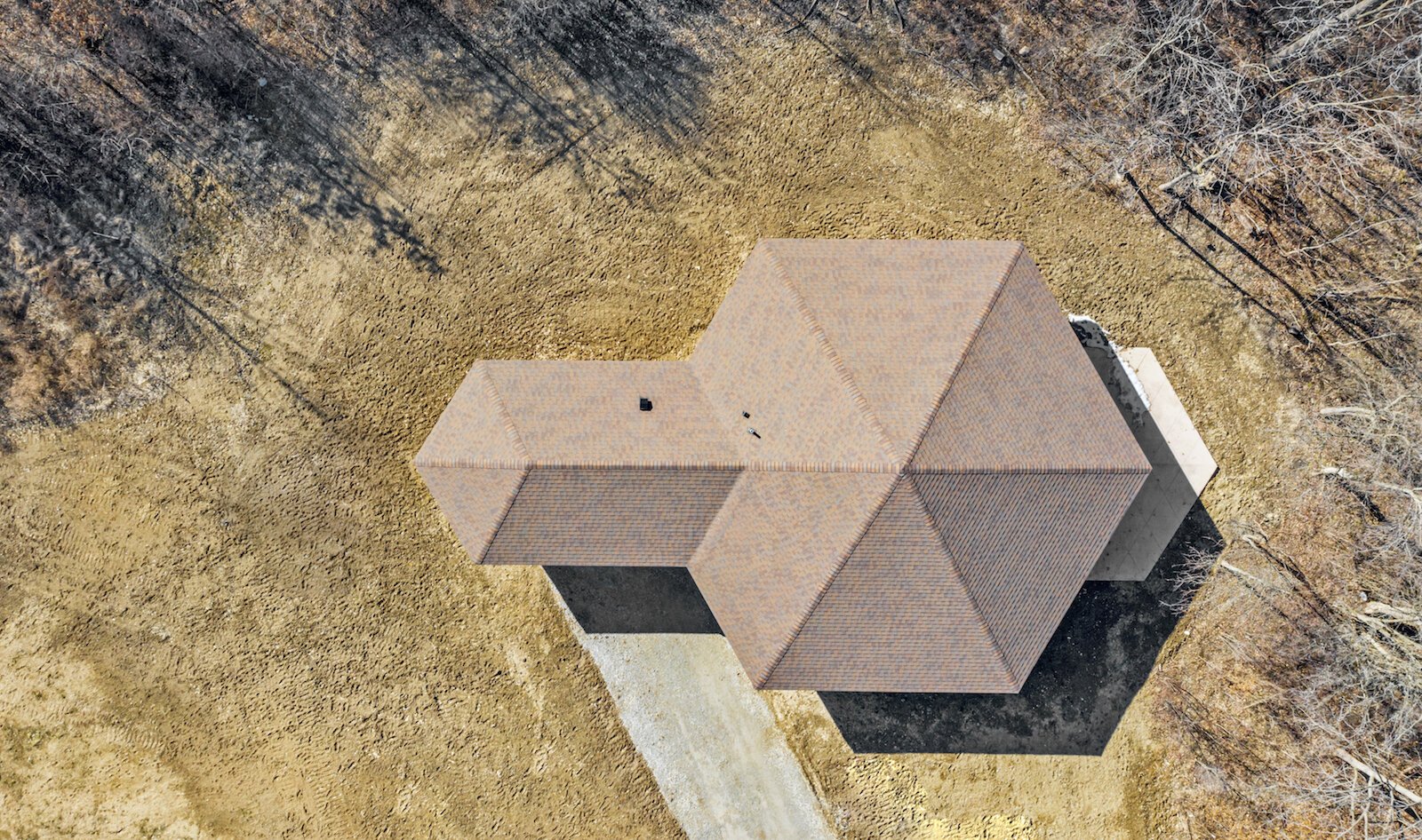 For the ancient Celts, silver birch trees represented new beginnings.