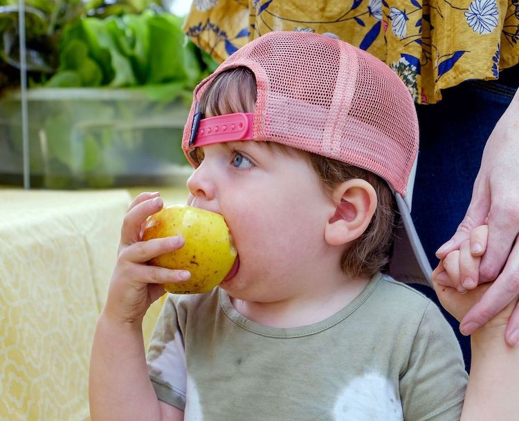 Public markets can foster healthy eating habits.