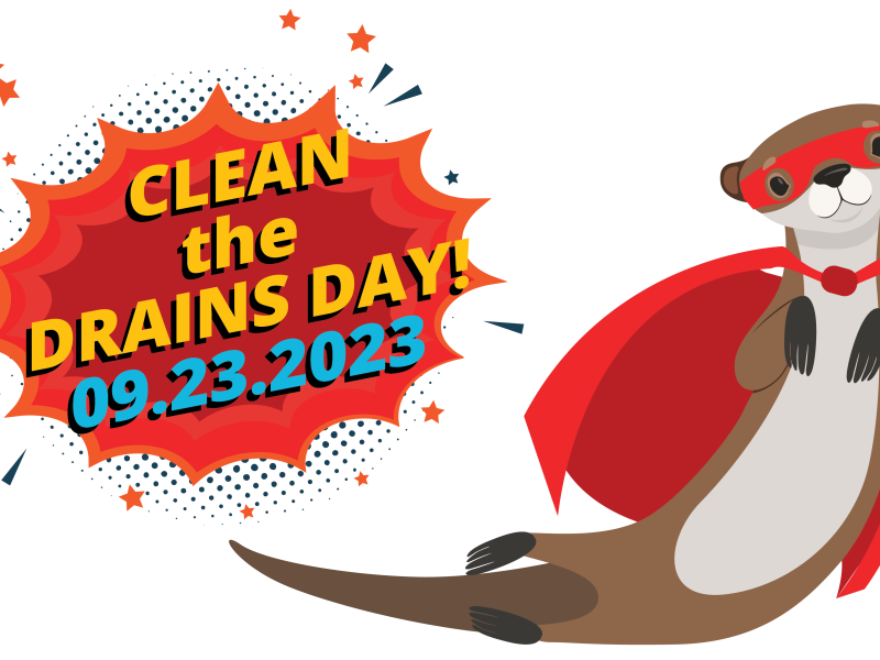 Clean the Drains Day
