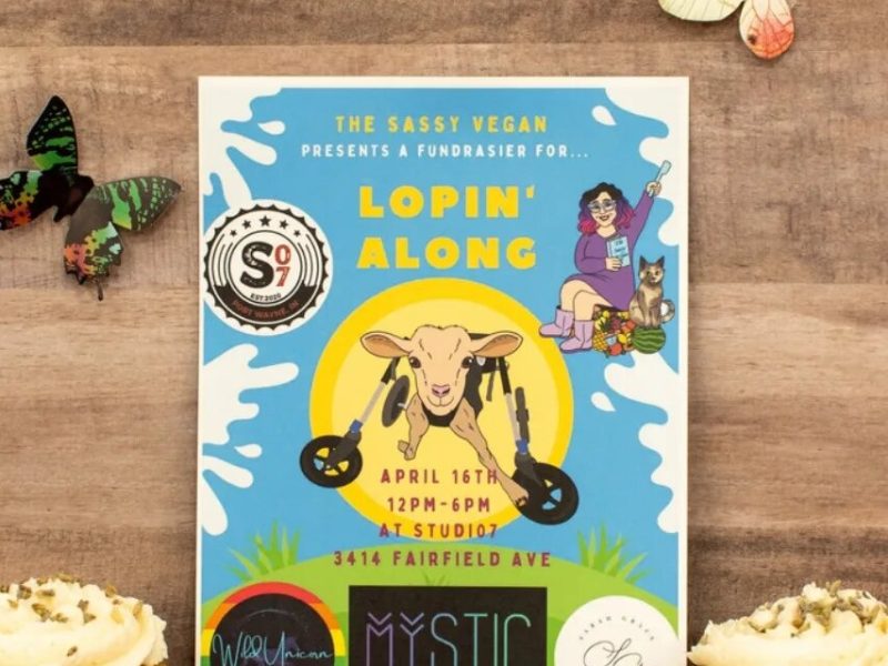 A poster for Sassy Sunday's Lopin' Along fundrasier.