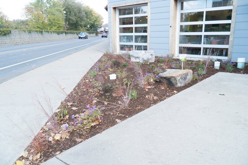 Conjure Coffee's landscape will be both attractive and functional, Rozelle says.