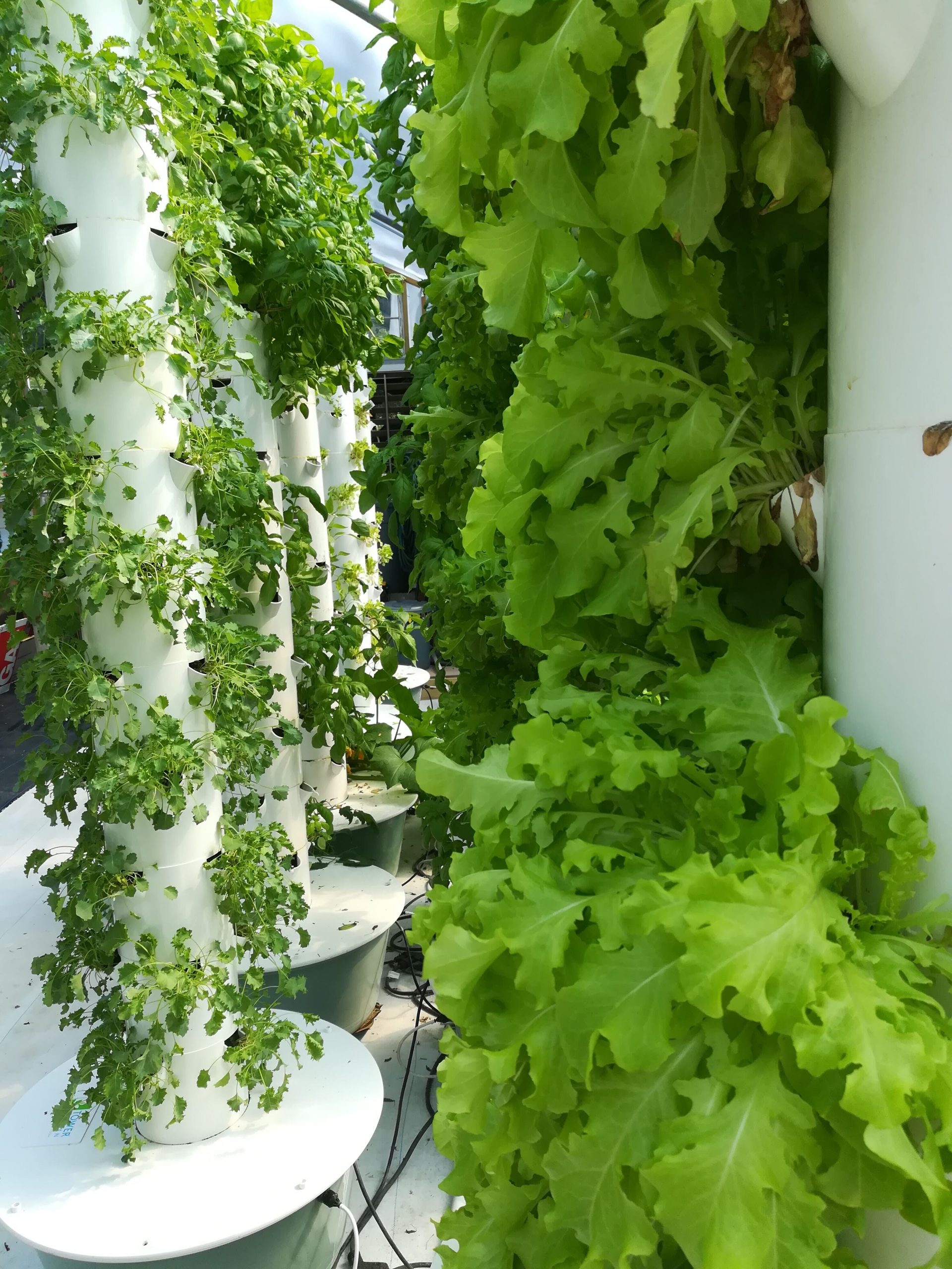 Sweetwater Urban Farms is part of a growing movement for fresh, locally produced food