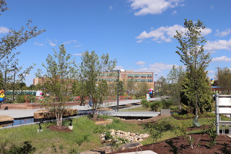 A view of Promenade Park's treescape.