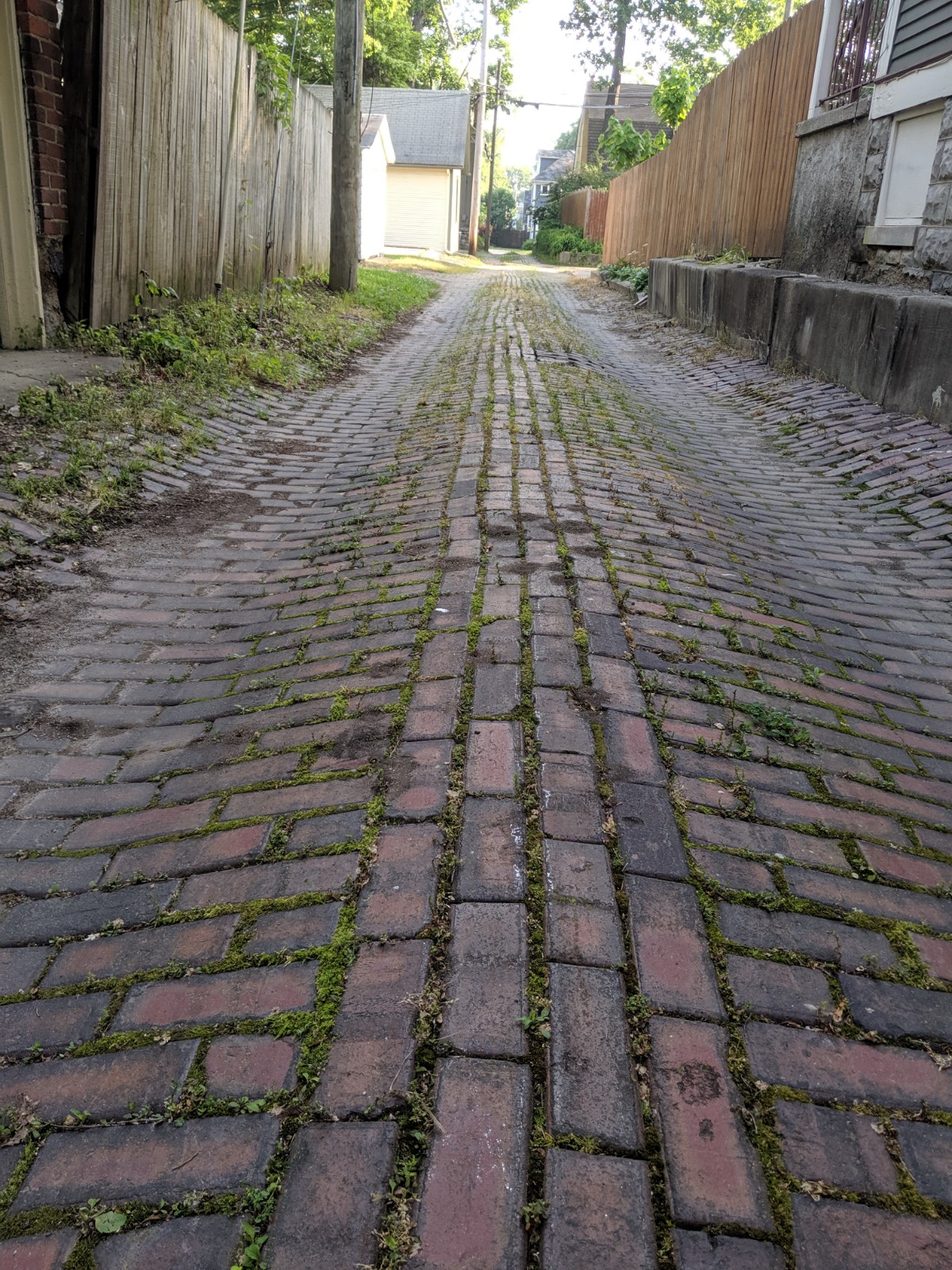 Many PAPA area alleys, like this one in the Williams Woodland Park area, are in disrepair.