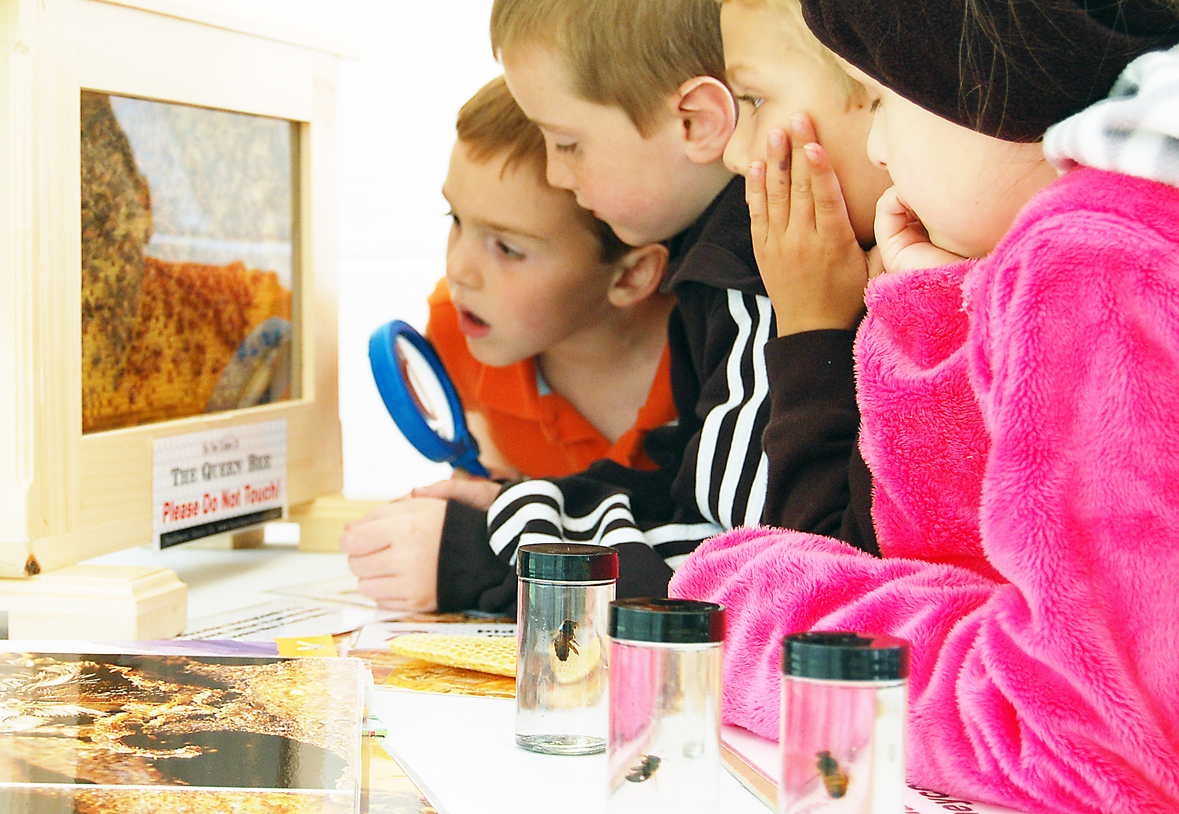 Educational programming at Southwest Honey Co.