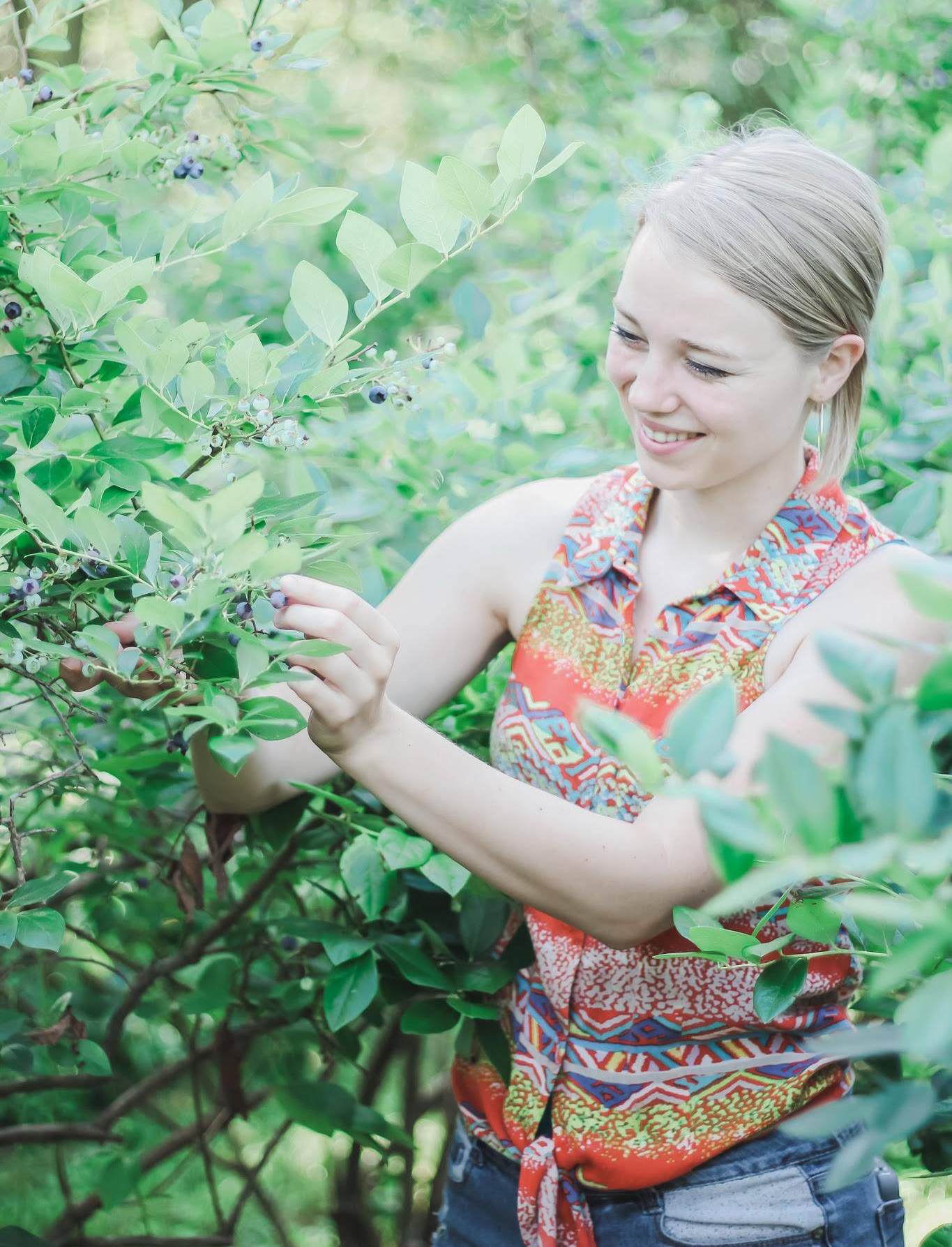 In addition to apples, the Orchard also has blueberry bushes available to its volunteers as well as organic, raw honey.
