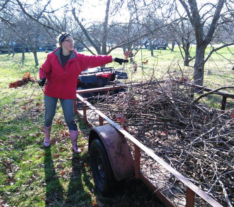 Volunteers maintain the Community Apple Orchard.