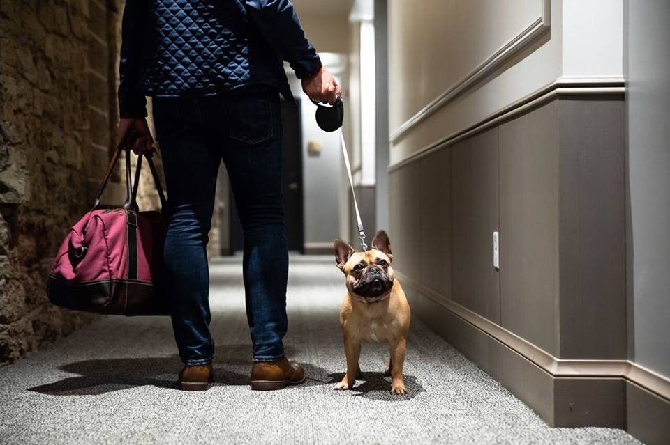 Pets are part of the Lora's personalized experience.