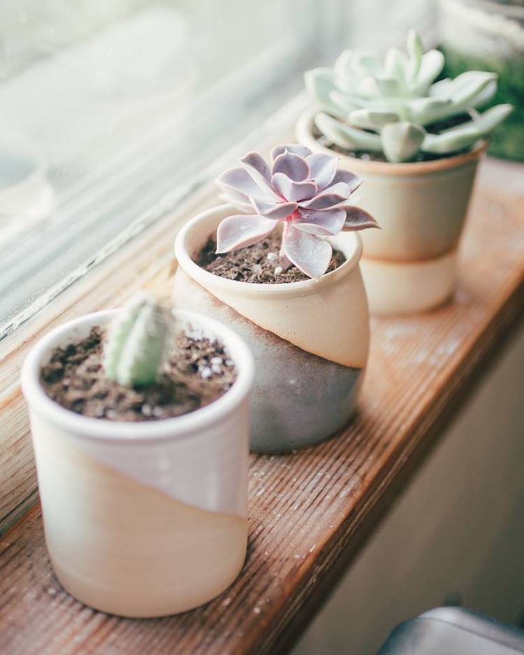 MudLOVE makes a range of ceramic goods, like succulent planters.
