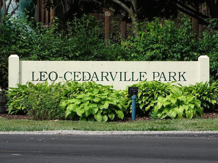 Parks are one of the focus areas for the NewAllen Alliance's initiatives.