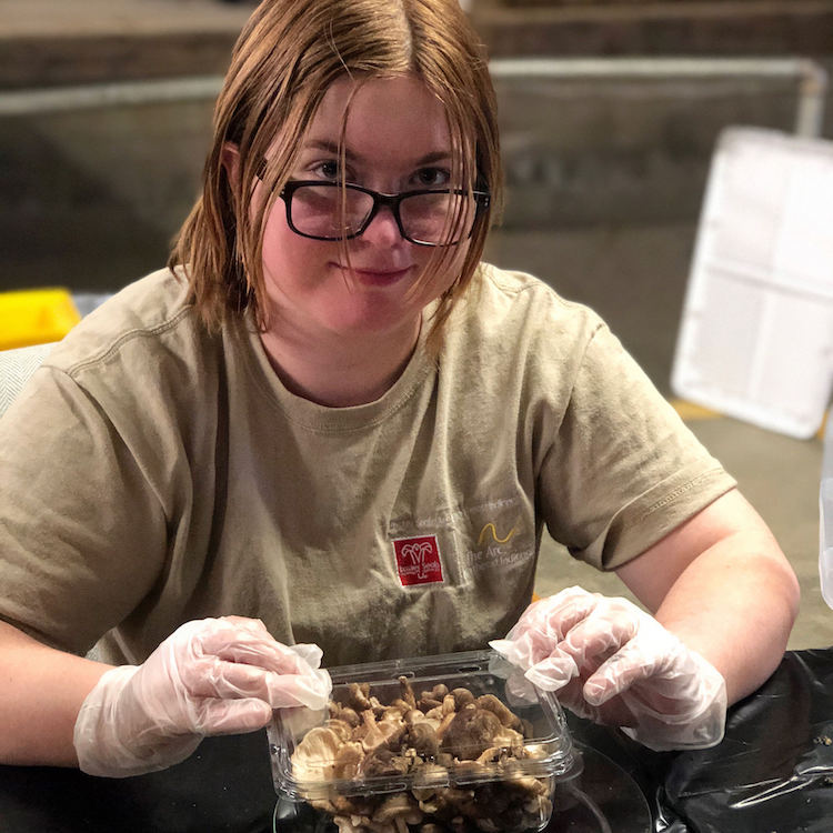 Amber prepares mushrooms for the market.