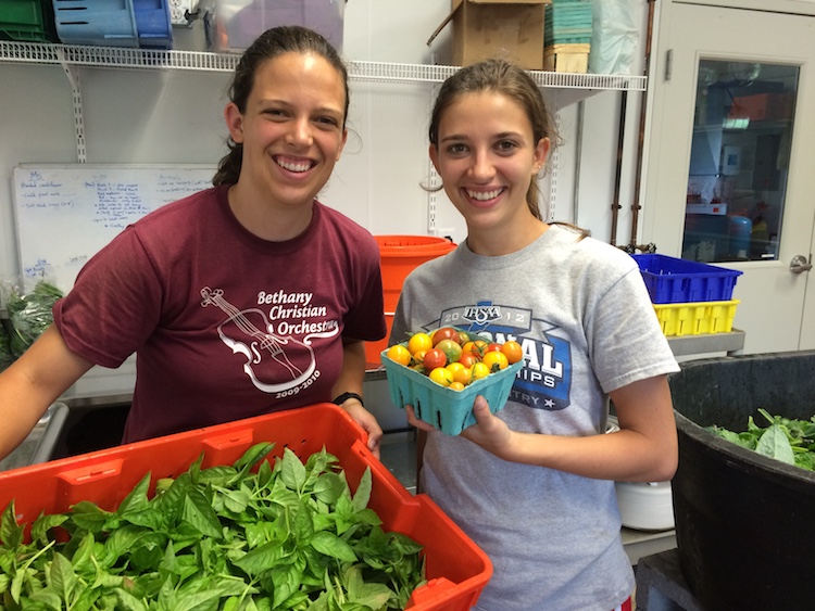 Assistant Farm Manager Ellie Schertz and Morgan Short, a summer intern, prepare basil and tomatoes for CSA shares at the Merry Lea Sustainable Farm.