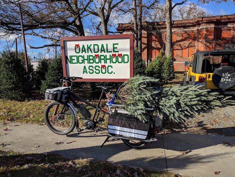 This year, Seranni Even biked to pick up his Christmas tree.